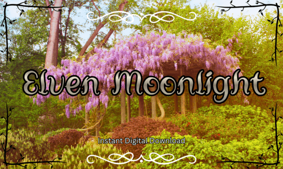 Elven Moonlight: A Fantasy Typeface for Digital Branding