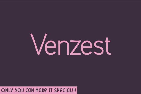 Venzest in the Wild: A Designer’s Field Report